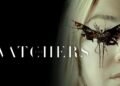 Best Movies on Max