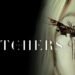 Best Movies on Max