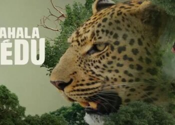 Kolahalamedu OTT Release Date