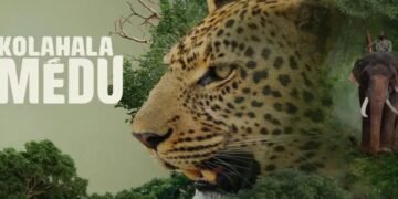Kolahalamedu OTT Release Date