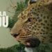 Kolahalamedu OTT Release Date